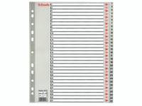 Register Esselte A4 Maxi 1-31 m/forblad plast grå